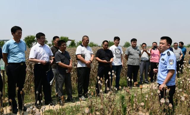 商丘市毒品原植物禁毒教育基地