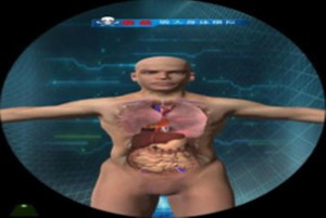 3D吸毒对身体危害（骨骼动画+内脏动画）模拟系统